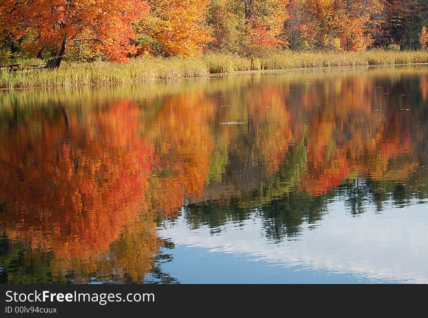 Red, Yellow, and orange trees reflected in a lake. Red, Yellow, and orange trees reflected in a lake