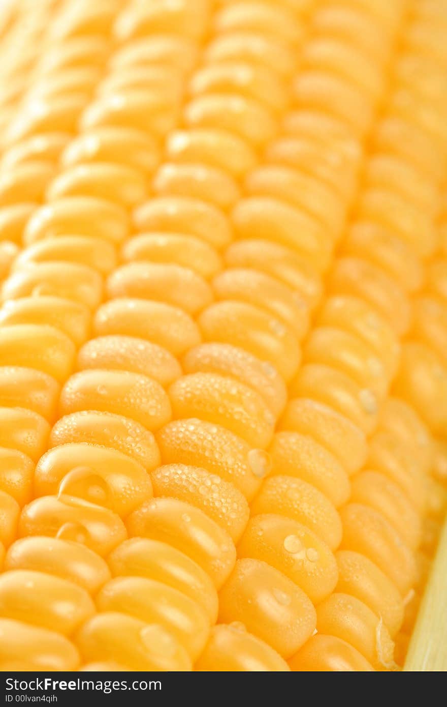 Fresh mealie and dewdrops, background