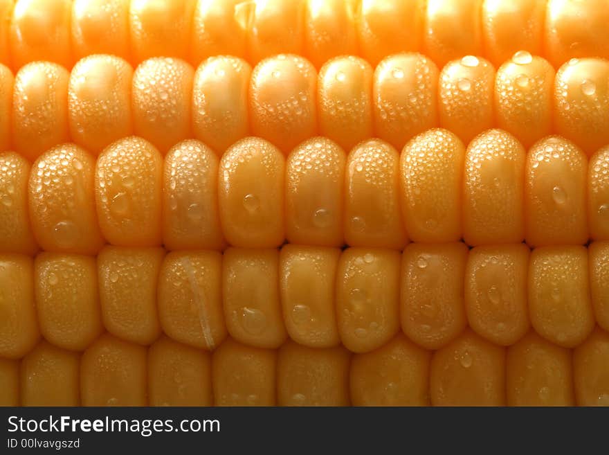 Fresh grains of corn and dewdrop, background. Fresh grains of corn and dewdrop, background