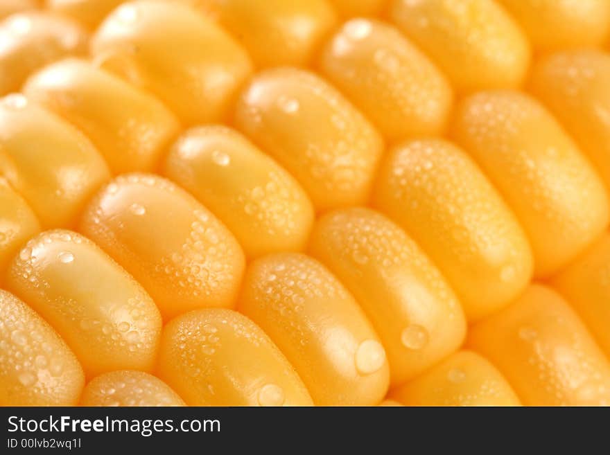 Fresh grains of corn and dewdrop, background. Fresh grains of corn and dewdrop, background