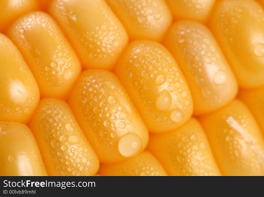 Fresh grains of corn and dewdrop, background. Fresh grains of corn and dewdrop, background