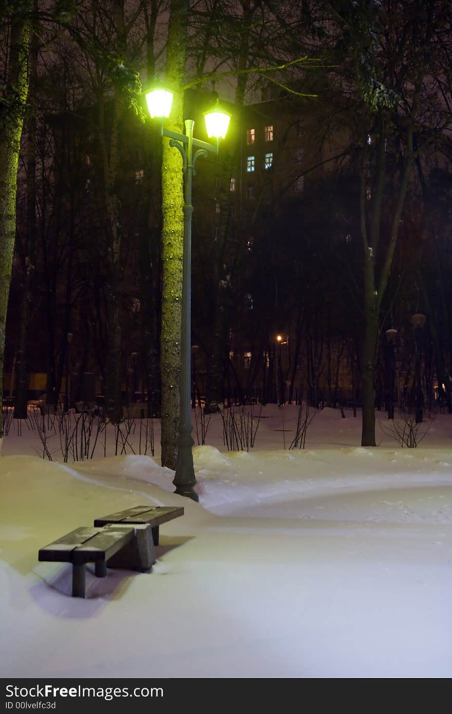 Bench in a snowy park at night