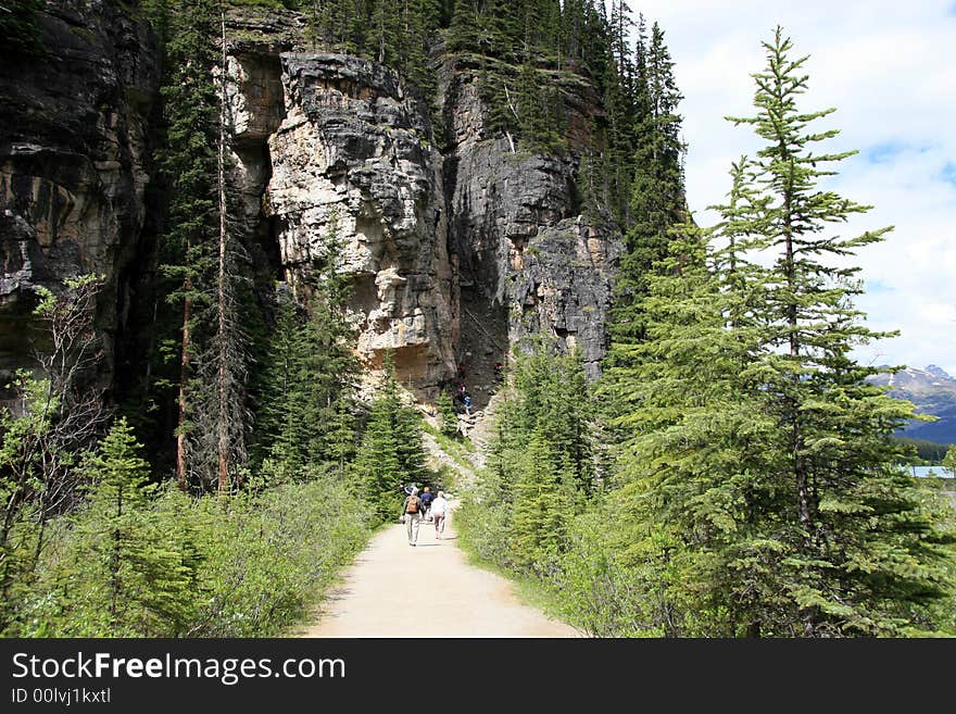 Hiking trail near Lake Louise, Banff National Park, Alberta, Canada. Hiking trail near Lake Louise, Banff National Park, Alberta, Canada