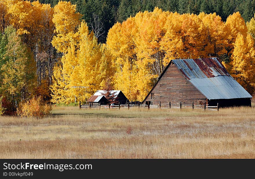 Old Barn In The Autumn