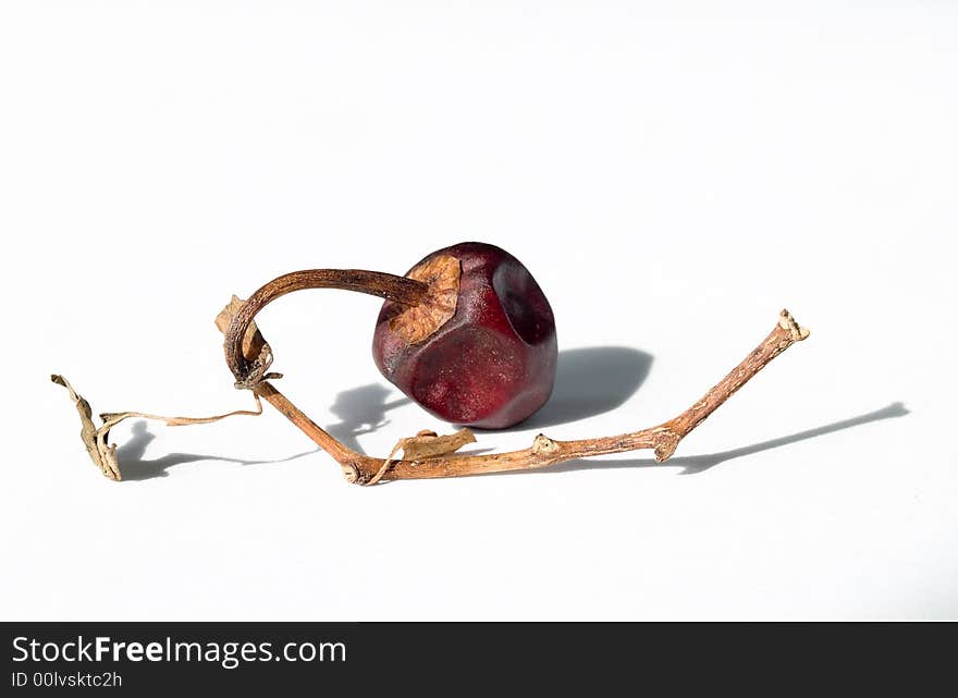 Still life of a single dried small round shaped Habanero chili with its stalk still attached to the dried branch with leaves. Still life of a single dried small round shaped Habanero chili with its stalk still attached to the dried branch with leaves.