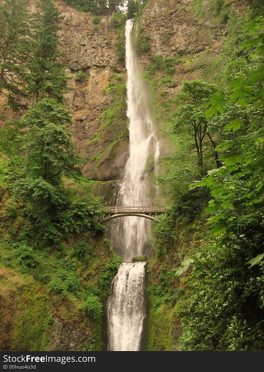 Multnomah Falls is the highest Waterfall in Columbia River Gorge.