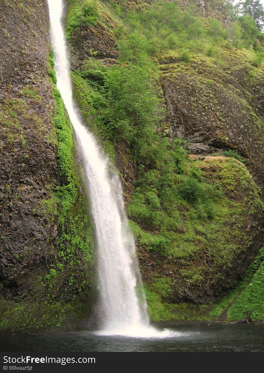 Horsetail Falls is the Waterfall in Columbia River Gorge.