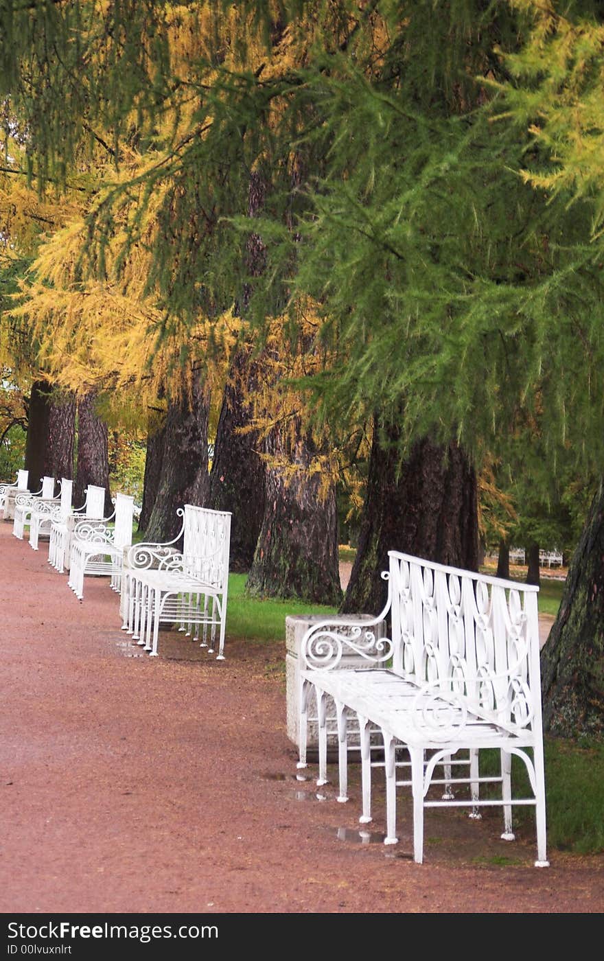 Row of white benches in a autumn park