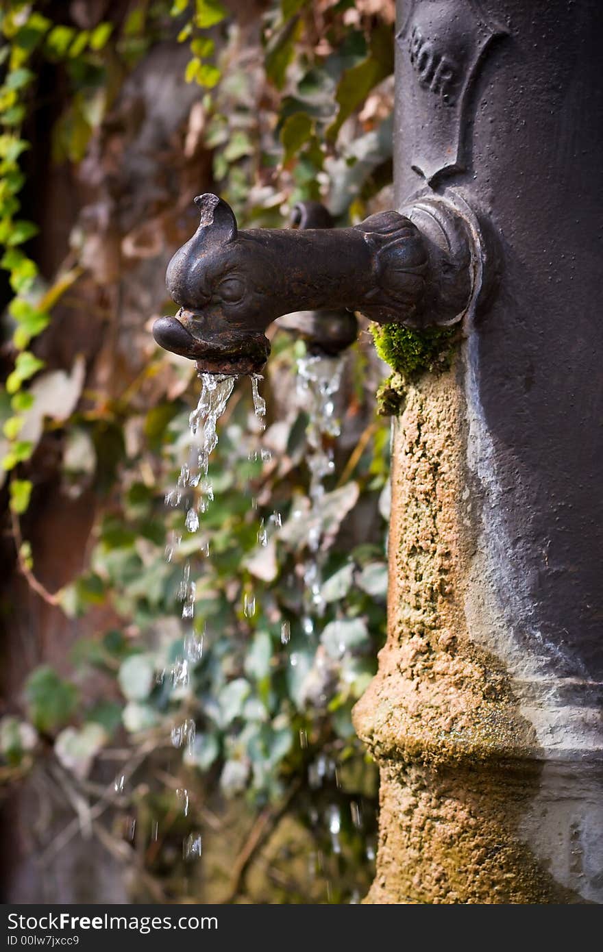 Drinking Fountain