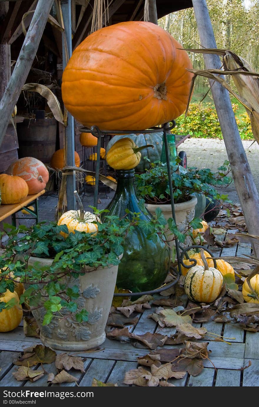 Autum Pumpkin decoration