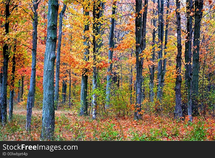 Autumn landscape view in michigan upper peninsula. Autumn landscape view in michigan upper peninsula