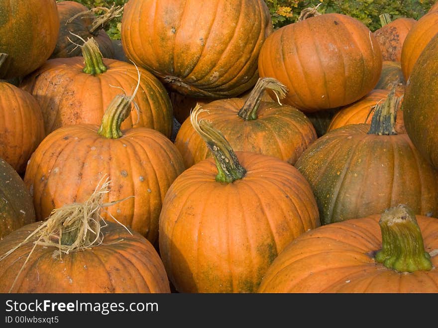 Green / Orange Pumpkins