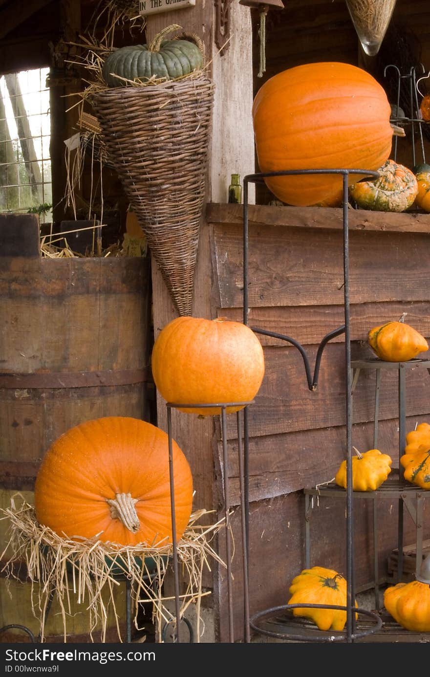 Autum Pumpkin Decoration