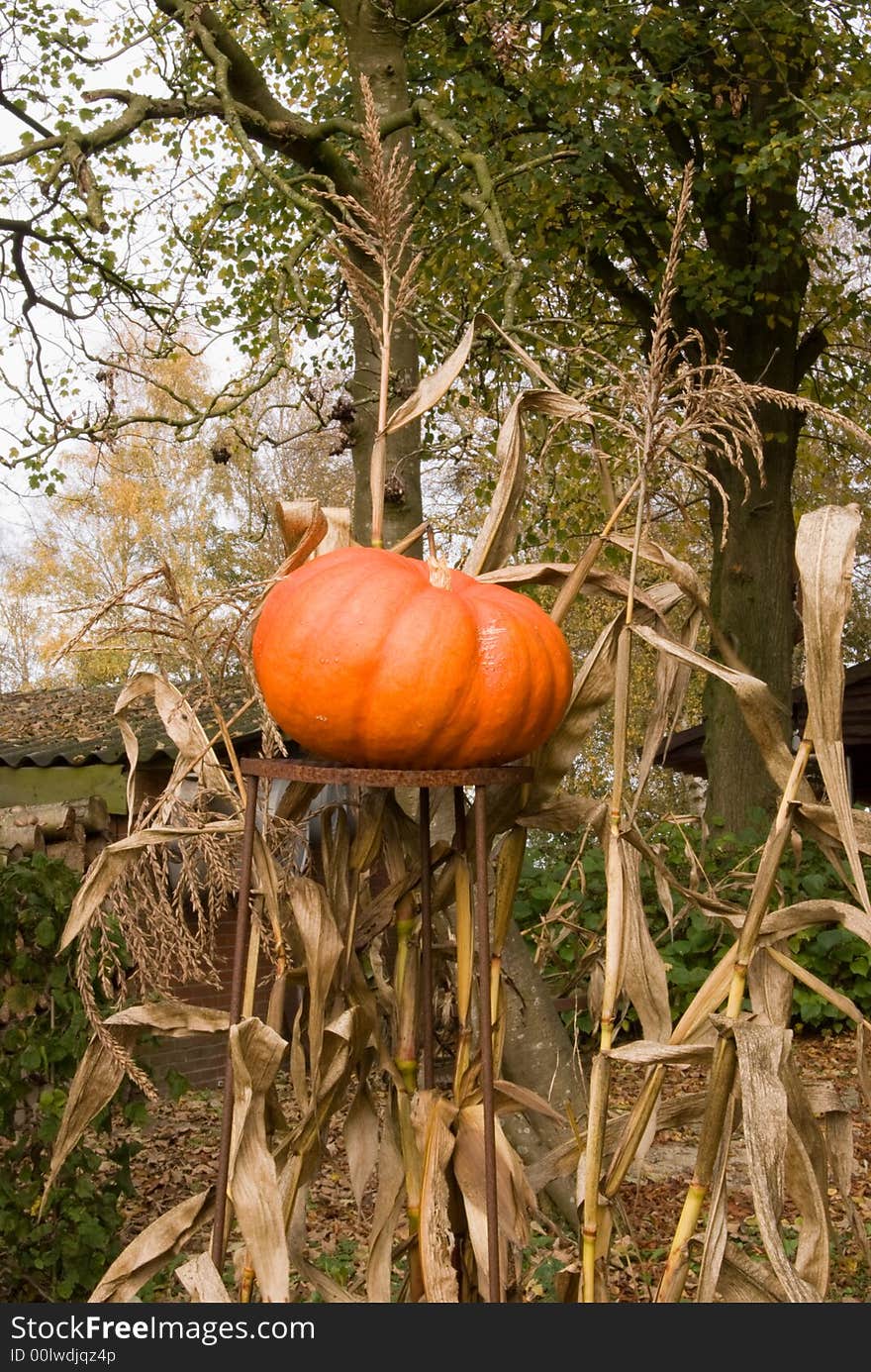 Pumpkin garden decoration