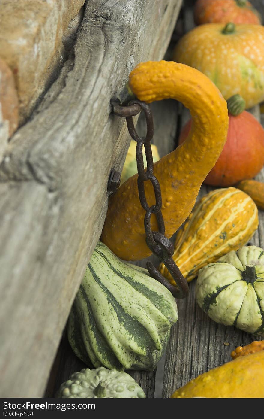 A closeup of some green and yellow pumpkins at a local carnival in Italy