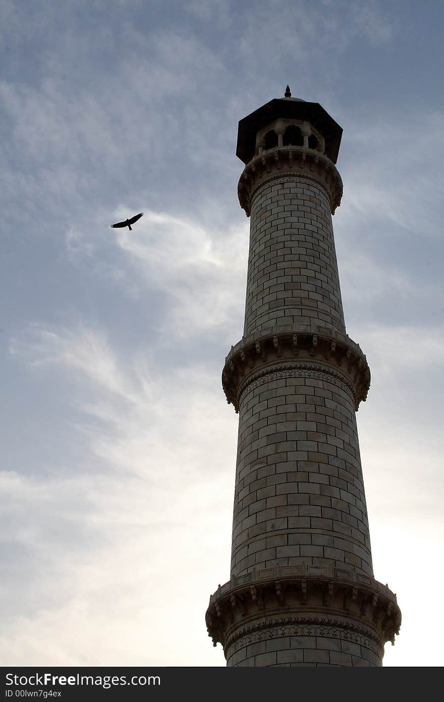 Tower in Taj Mahal / Agra India