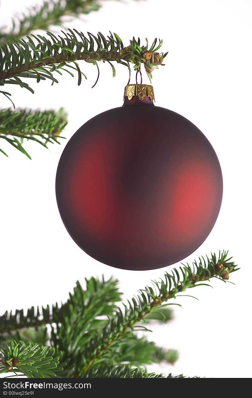 Red glass ball on tree