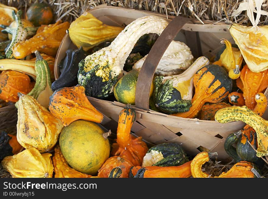 A bunch of small pumpkins on straw bed. A bunch of small pumpkins on straw bed