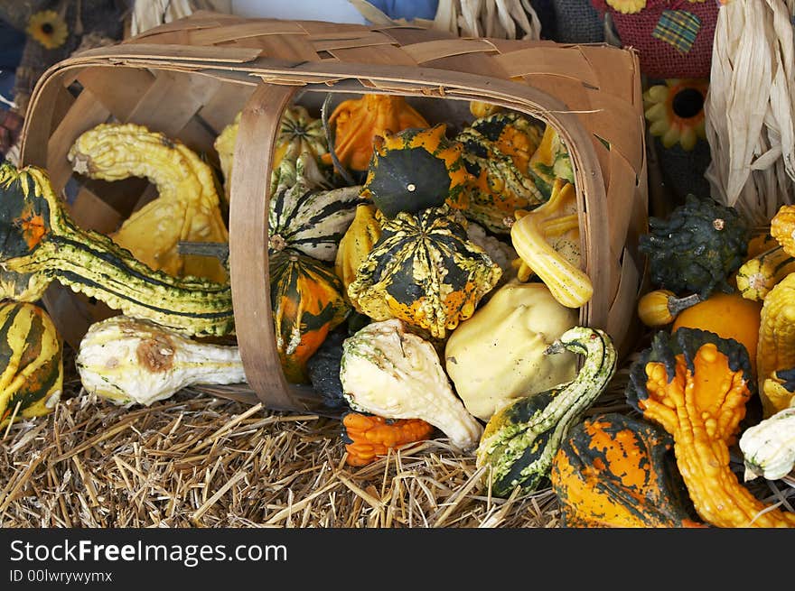 A bunch of small pumpkins on straw bed. A bunch of small pumpkins on straw bed