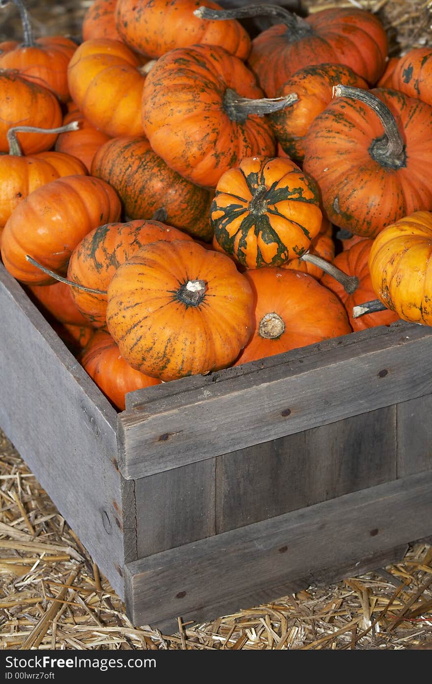 A bunch of small pumpkins in a wood crate