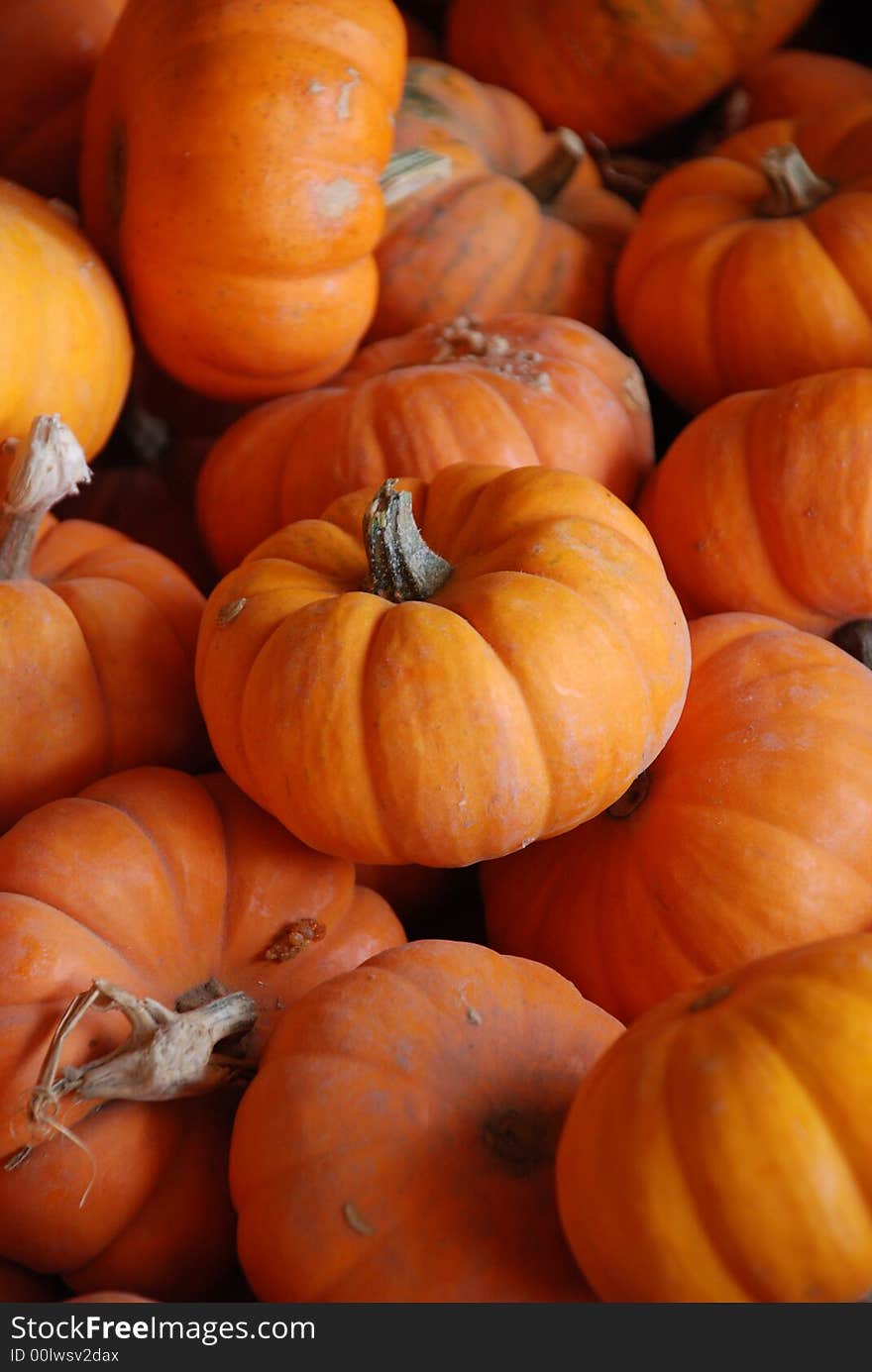 Tiny Pumpkins