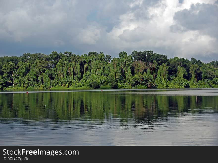 Plant and water at reservoirs