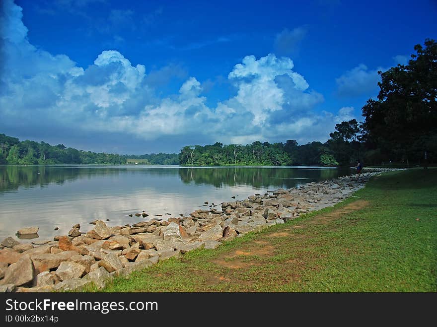 Boat and plant and reservoirs