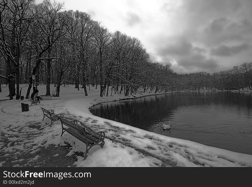 Lake in winter