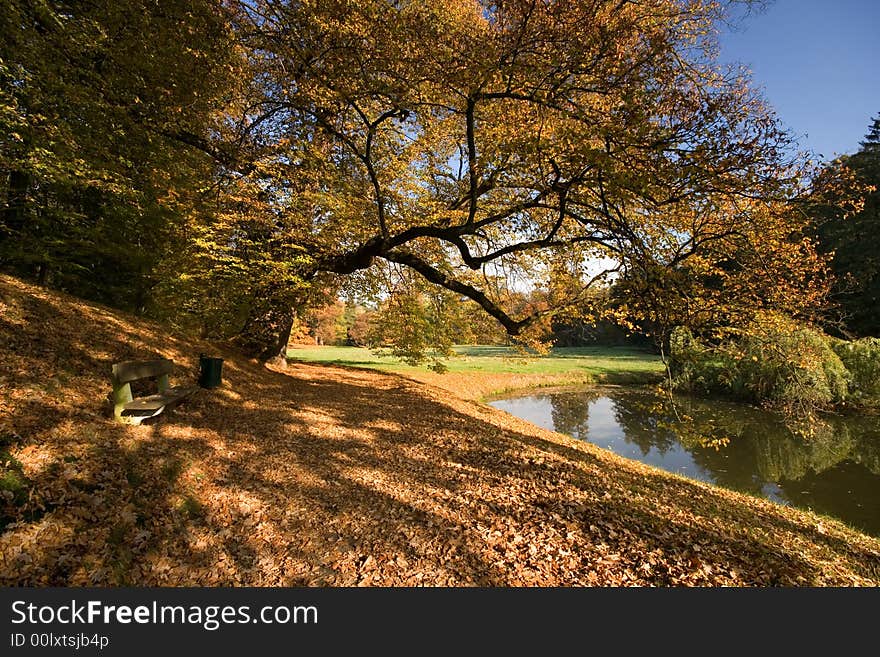 Autumn Landscape In The Park. Autumn Landscape In The Park