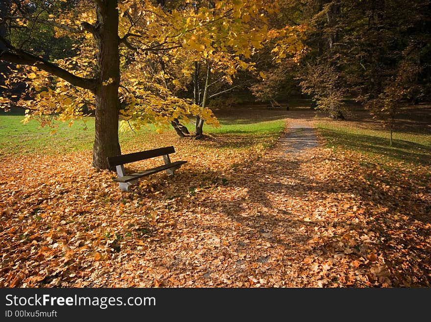 Autumn Landscape In The Park. Autumn Landscape In The Park