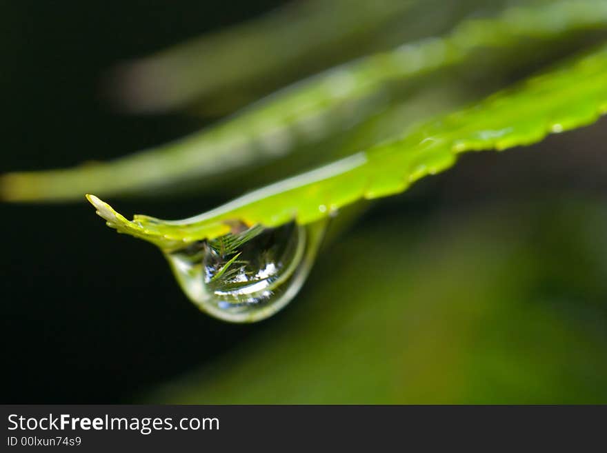 A Close-Up View Of A Raindrop. A Close-Up View Of A Raindrop