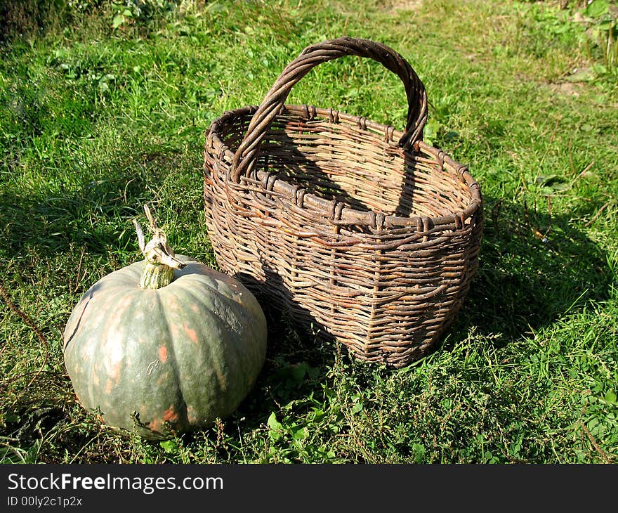 There is one green pumpkin and an old-fashioned brown basket on the grass. There is one green pumpkin and an old-fashioned brown basket on the grass