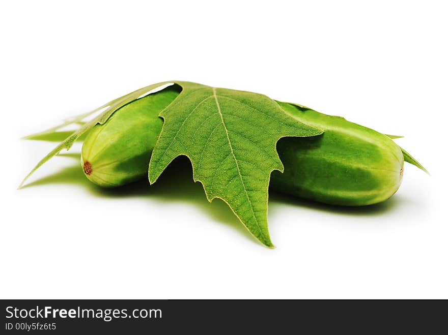 Isolated Leaf And Cucumber