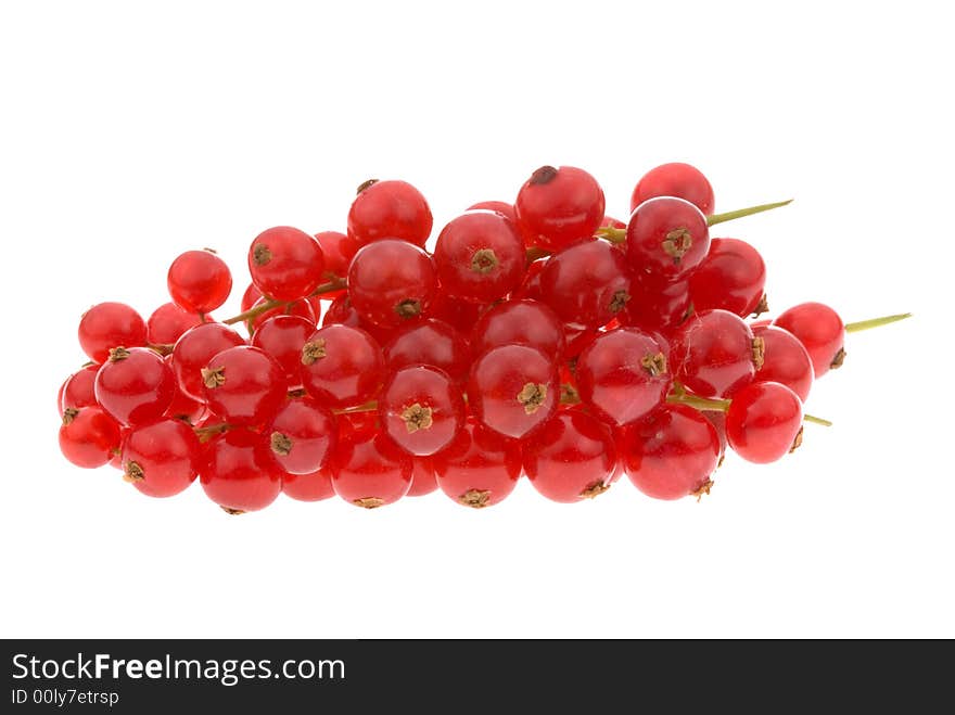 Fresh red currant berries