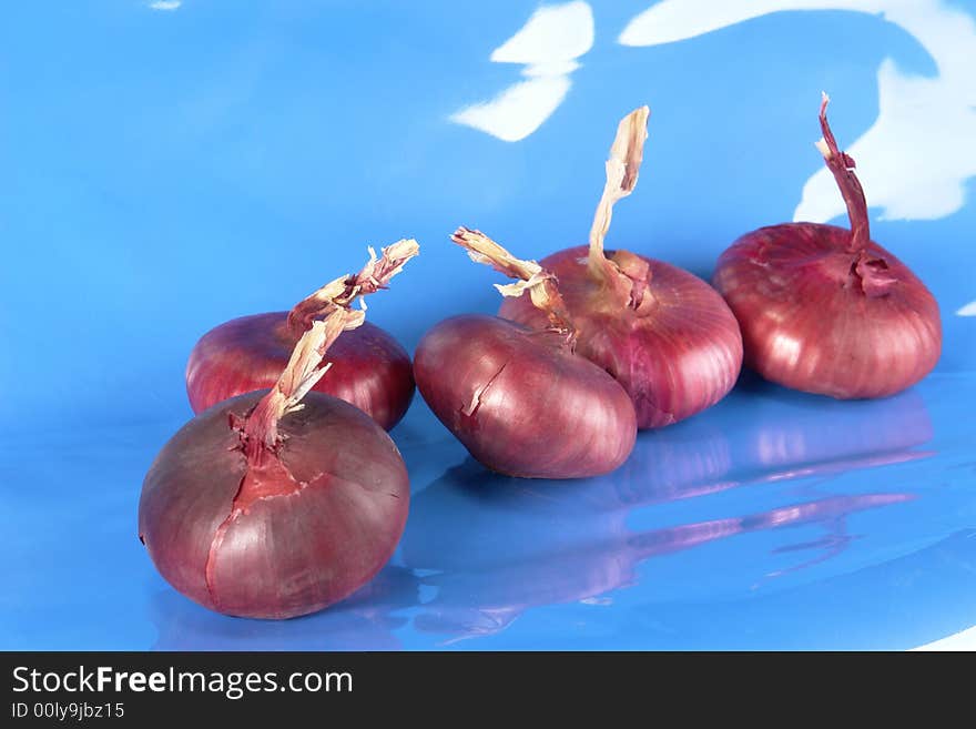 Onions on a dark blue background