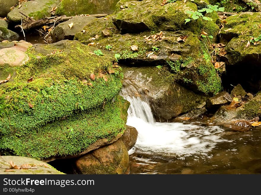 Mossy Waterfall