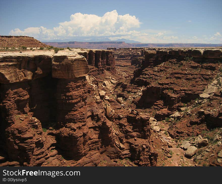 Buck Canyon is one of the many canyons in Canyonlands NP. Buck Canyon is one of the many canyons in Canyonlands NP