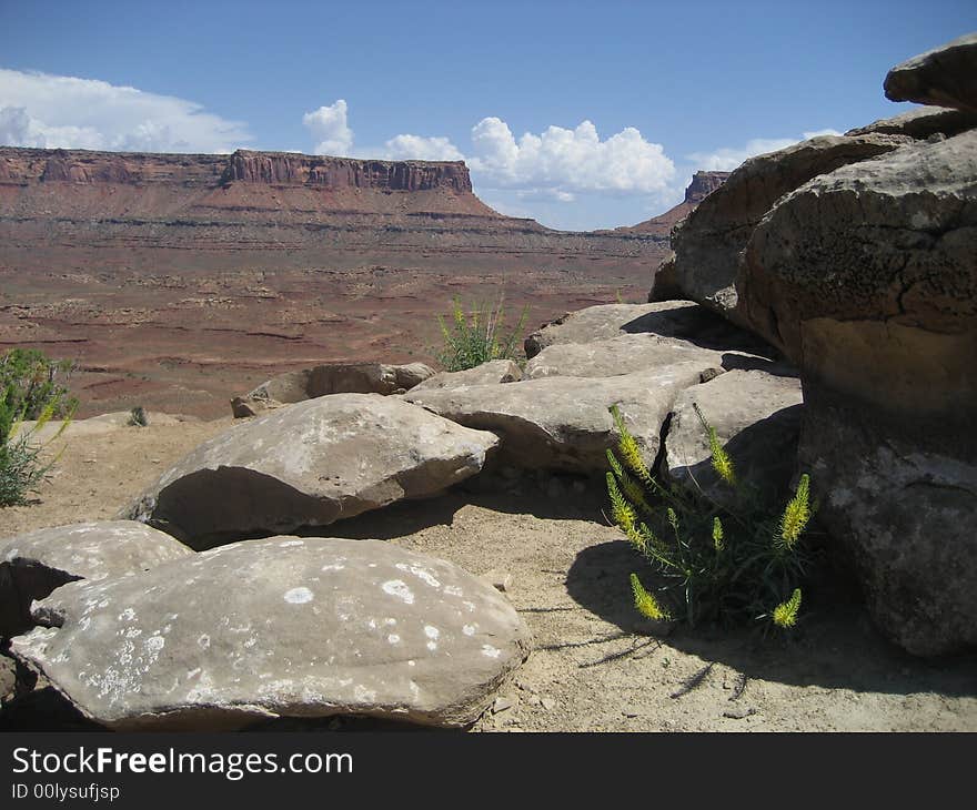 The picture taken from White Rim Road in Canyonlands NP