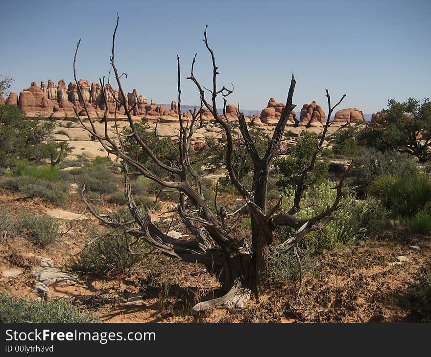 Chesler Park is the area of unusual rock in the Needles District of Canyonlands. Chesler Park is the area of unusual rock in the Needles District of Canyonlands