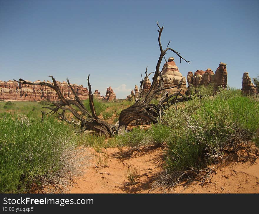 The picture taken on the hike to Chesler Park in the Needles District of Canyonlands NP. The picture taken on the hike to Chesler Park in the Needles District of Canyonlands NP