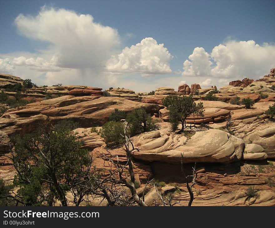 The picture of the rocks in the Needles District of Canyonlands NP. The picture of the rocks in the Needles District of Canyonlands NP