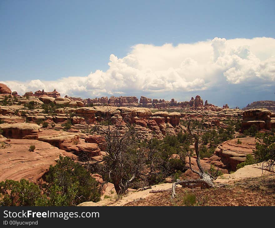 The Needles Section is one part of Canyonlands National Park in Utah. The Needles Section is one part of Canyonlands National Park in Utah