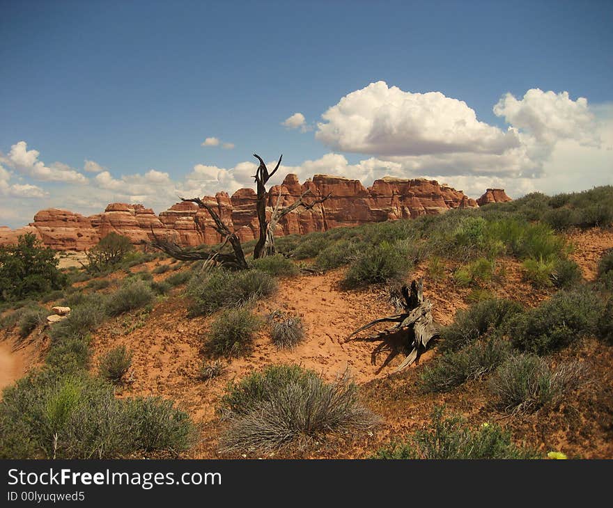 Canyonlands - Chesler Park