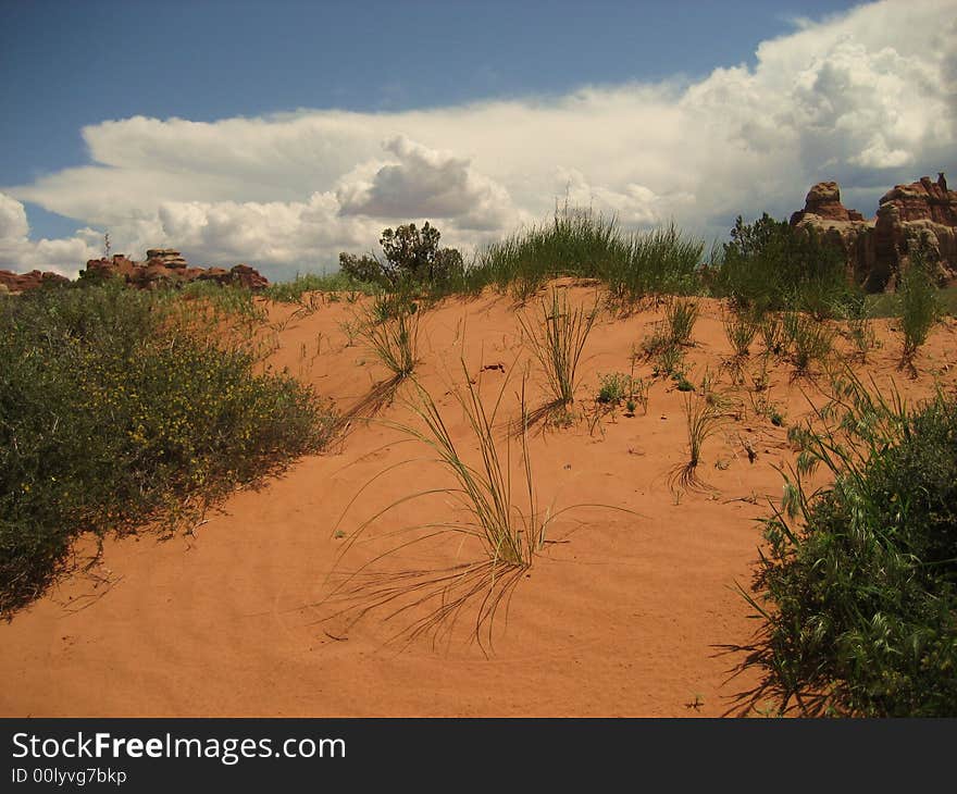 Chesler Park is located in the Needles District of Canyonlands NP. Chesler Park is located in the Needles District of Canyonlands NP