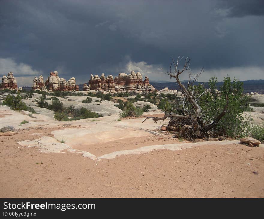 Doll House Rocks can be found in the Maze district of Canyonlands NP. Doll House Rocks can be found in the Maze district of Canyonlands NP.