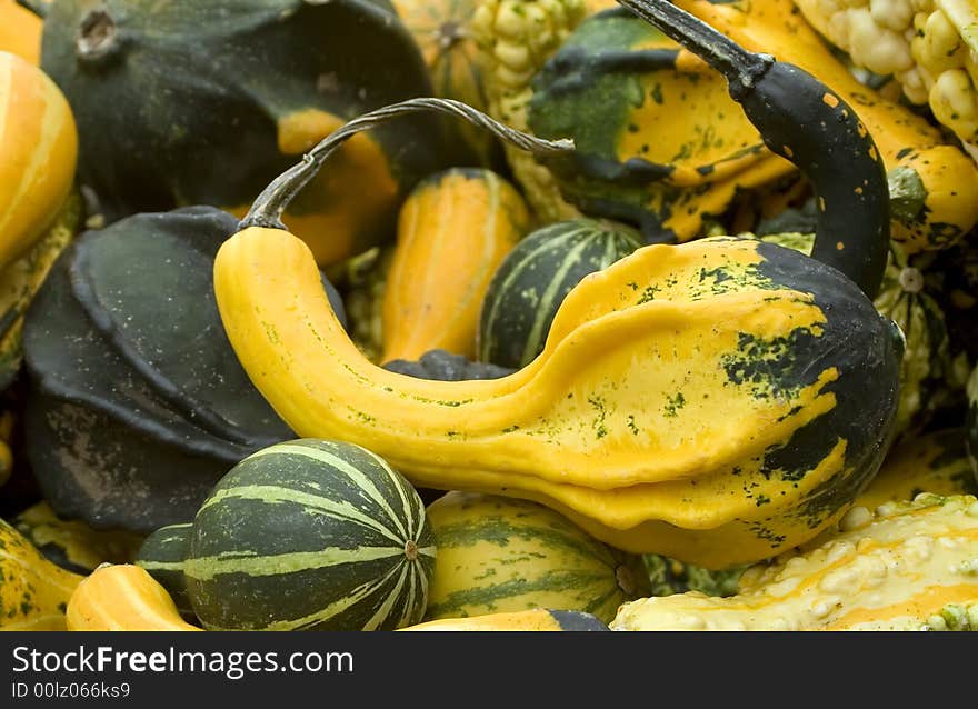 Gourds