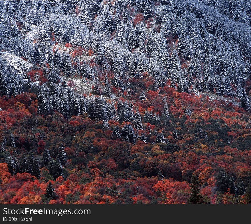 First dusting of snow in northern Utah. First dusting of snow in northern Utah