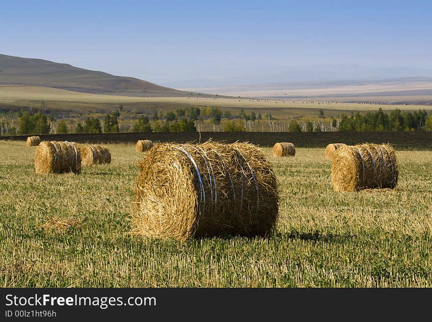 The hay bale in Inner Mongolia grassland in autumn season.