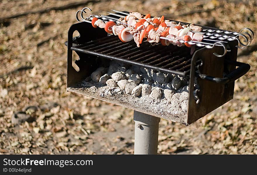 Autumn Barbecue in the park