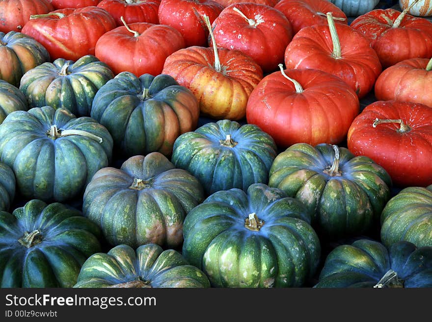 Late Summer Harvest